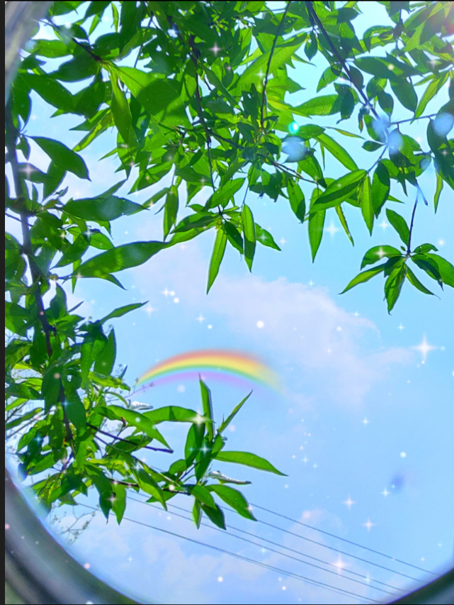 把彩虹装进镜子里然后在踹回家藏起来