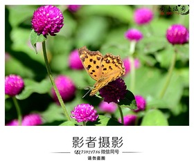 DSC_3886_??_??