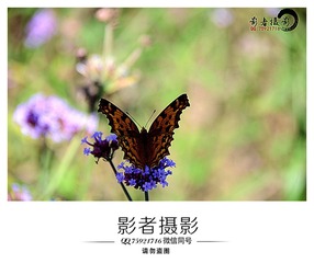 DSC_3867_??_??