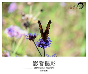 DSC_3868_??_??