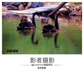 DSC_5497_??1