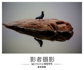 DSC_5580_??1