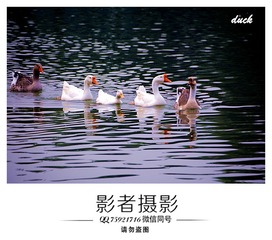 DSC_5531_??1
