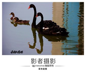 DSC_5488_??4