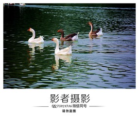 DSC_5548_??1