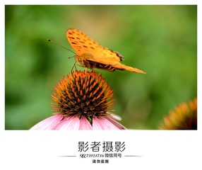 DSC_5934_??1