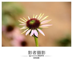DSC_5927_??1