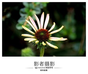 DSC_5926_??1