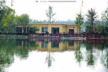 DSC_5450__