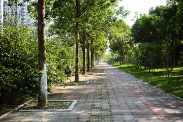 DSC_0183_00022
