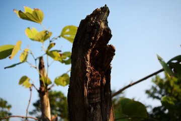 DSC_0297_00077