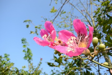 DSC_0329_00102