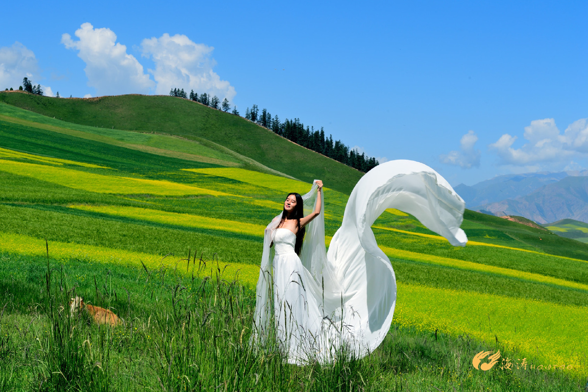 高原.姑娘