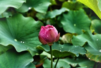 DSC05473-01