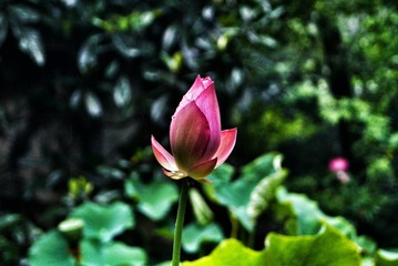 DSC05480-01