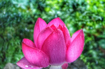 DSC05483-02