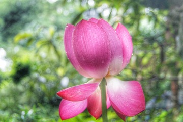 DSC05485-01