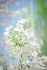 2FB9D1C8-D1A8-4D7D-BFE6-01942B945607/L0/001