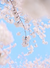 8E17DB46-0654-42F1-B5C5-671D6412C6DE/L0/001