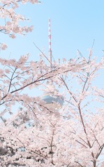 69DEC2EF-E252-4216-BB8A-B4C7537881A2/L0/001