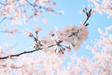 9CB78311-01B2-459C-9FE2-5CA8207E16FC/L0/001