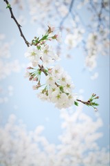 6F6F83B6-D6C0-4A83-BF7F-BA1C391E2B3F/L0/001