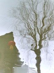b05