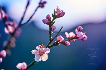 _DSC9961_20170331_箭扣 拷贝