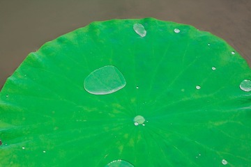 7542509C-3B24-4312-8A6A-DF4C4D60CDDB/L0/001