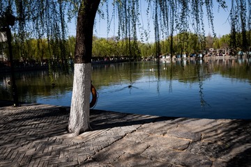 Optional("38667185-5D6E-44C2-904E-7EE89F2ECC2D/L0/001")