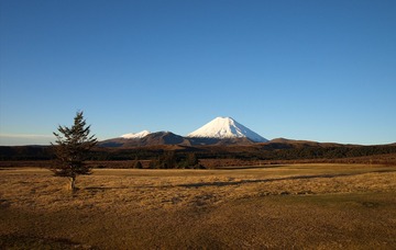 781318