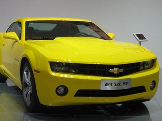 781306