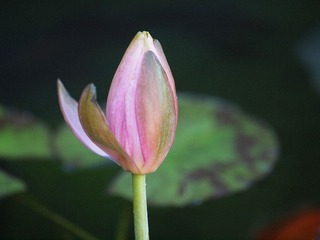 2008769