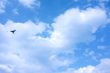 8C68AE98-B998-4578-92BF-6218AC353183/L0/001
