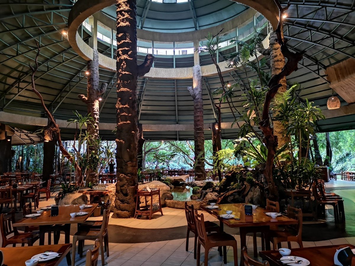 泰国清迈黑森林餐厅 有这样一家网红餐厅,与众不同,犹如坐落在一片