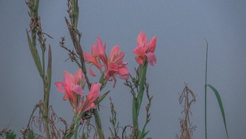 2F53CB88-F3EE-4052-ADFE-6D7DC10EFB0E/L0/001