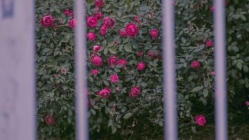 D4503C75-C438-4A29-8635-D0957945A4B9/L0/001