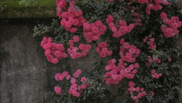 8E7E8182-1B2D-4414-A2DB-5F0820846A72/L0/001