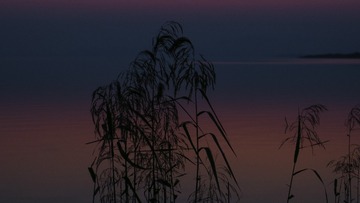 A12B41EE-50D6-4753-BF23-050CD007FE90/L0/001