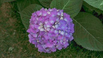ECE7EE0C-0E17-4D66-AE54-628D8ED6A24B/L0/001