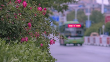 7D0AB8A2-69B3-4B30-94B5-2F4C8627FF9C/L0/001