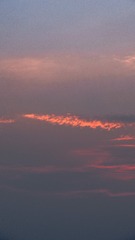 275F606E-0B15-450A-911C-7A12CE830223/L0/001