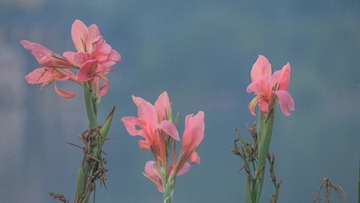 A900C51F-28F9-44F3-9D68-D065EE8D8595/L0/001