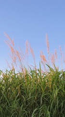 70FA165B-496D-42C3-9B5B-9C0708BA49E2/L0/001