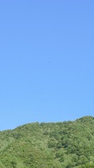 13E35B09-A7F9-4B2F-8CB9-58F7531DC1B6/L0/001
