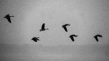6C97A53C-B466-4552-808F-E216CB7FE113/L0/001