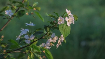 35E288CD-FDBD-4FAA-AC15-73AE9E923EC4/L0/001
