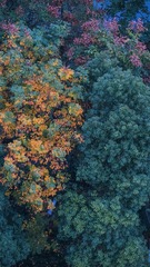 0810804F-A14A-4ADD-A748-EDF6D9C4E446/L0/001