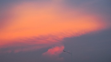 3213E43D-0B4D-47CA-A2C7-0CD1CC67C210/L0/001