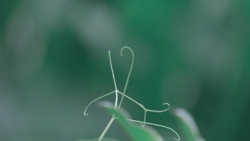 696CA951-0F6C-4D2E-9AD3-73E98BB67DE3/L0/001